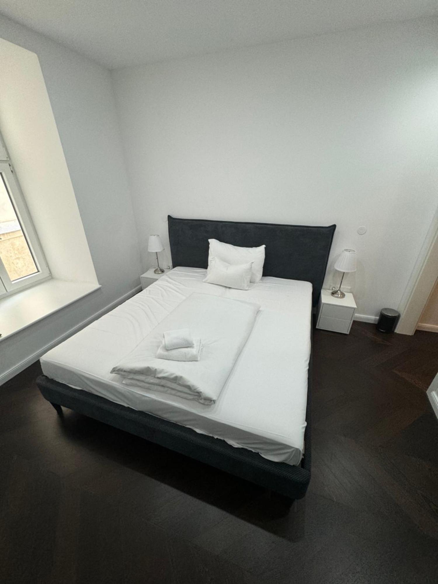 Luxurious Apartment In The Centre Of Viyana Dış mekan fotoğraf