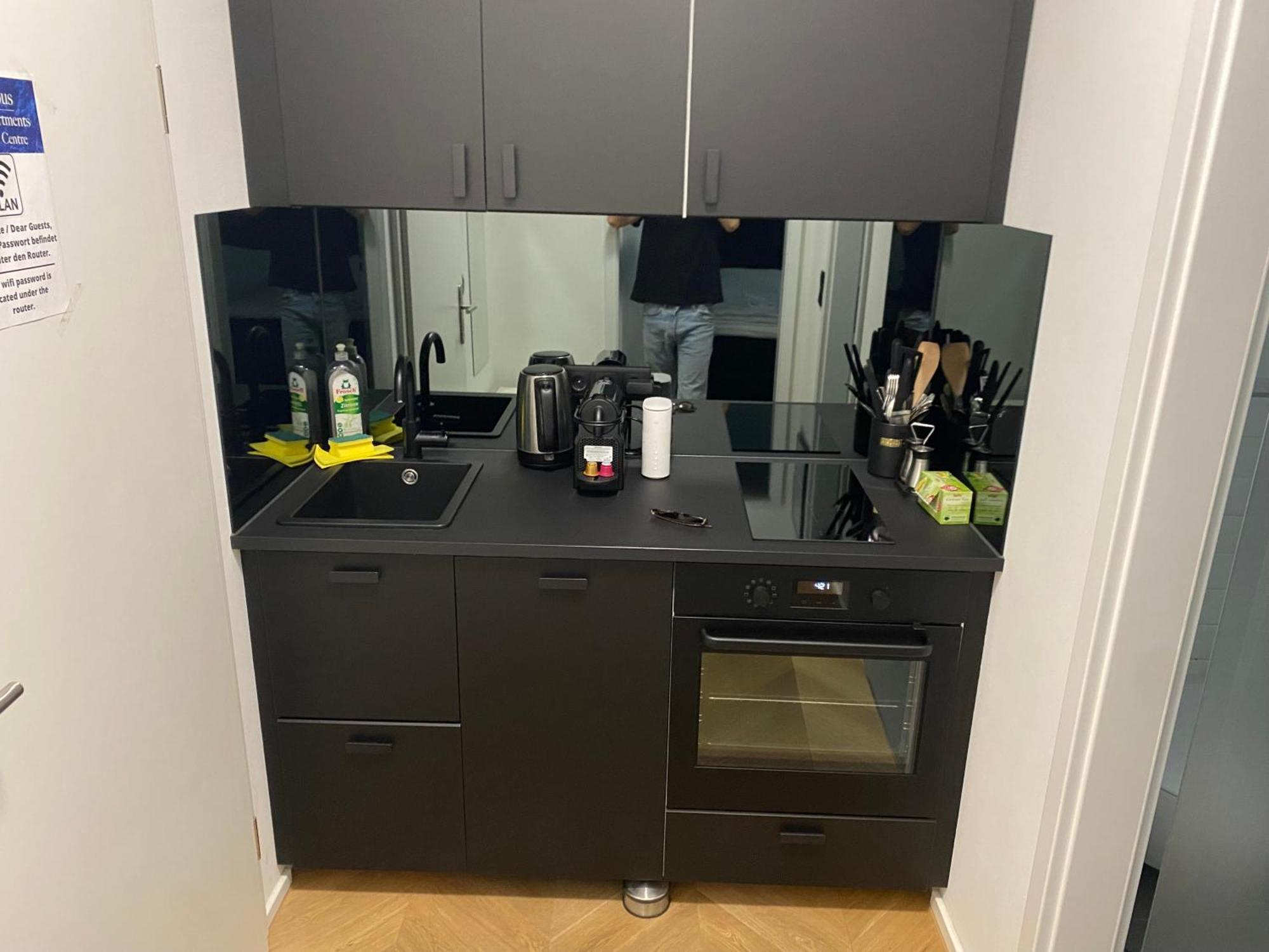 Luxurious Apartment In The Centre Of Viyana Oda fotoğraf